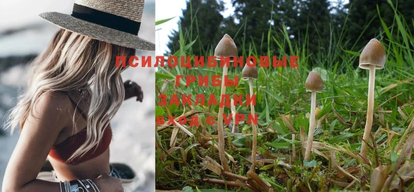 СК Иннополис