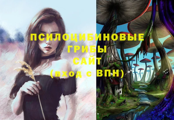 СК Иннополис