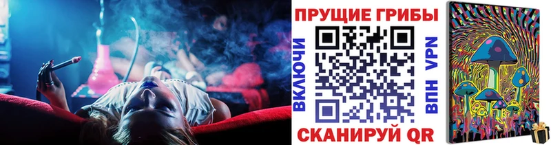 Галлюциногенные грибы Cubensis  Купить  Зеленоградск 